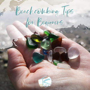 Beachcombing Tips for Beginners
